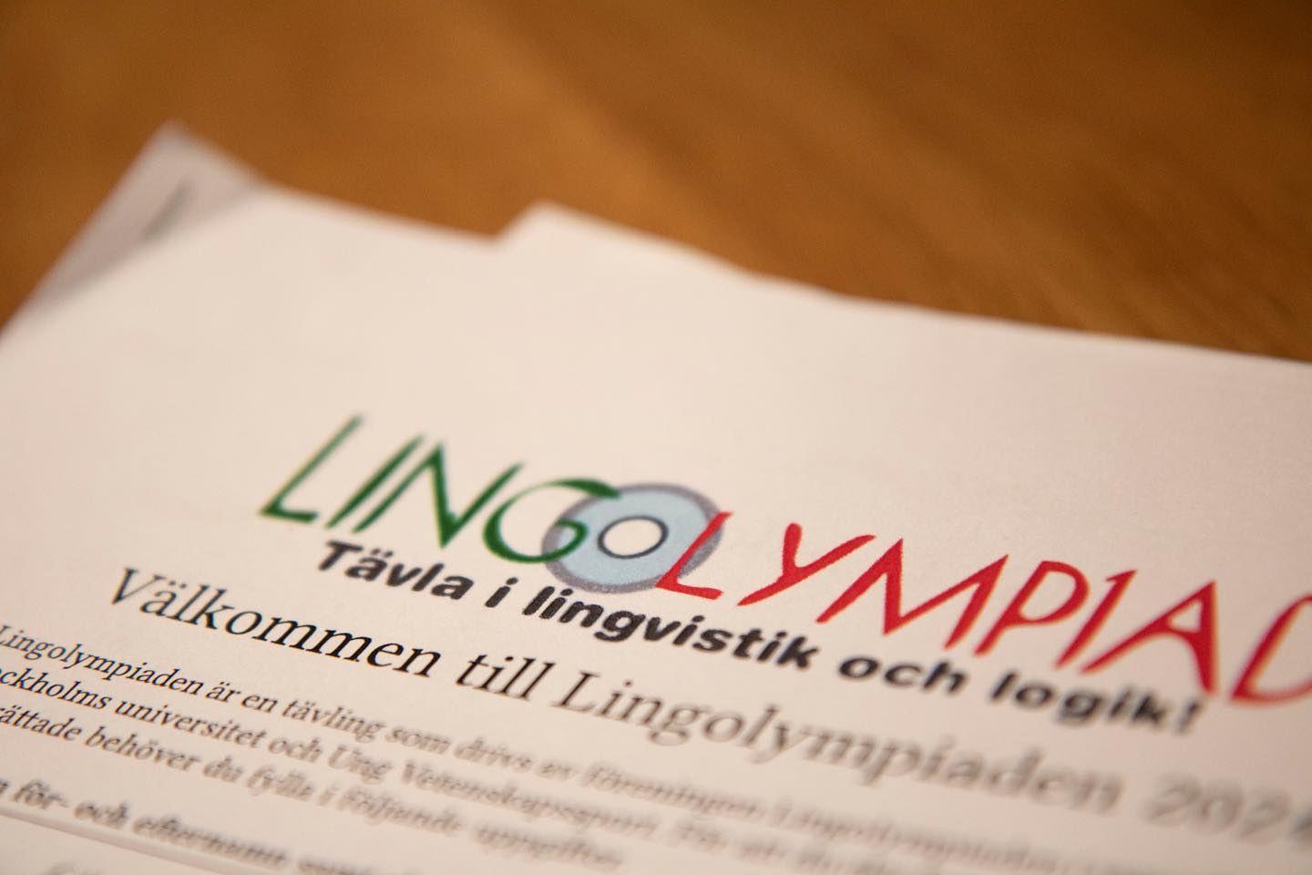 Lingvistikläger
